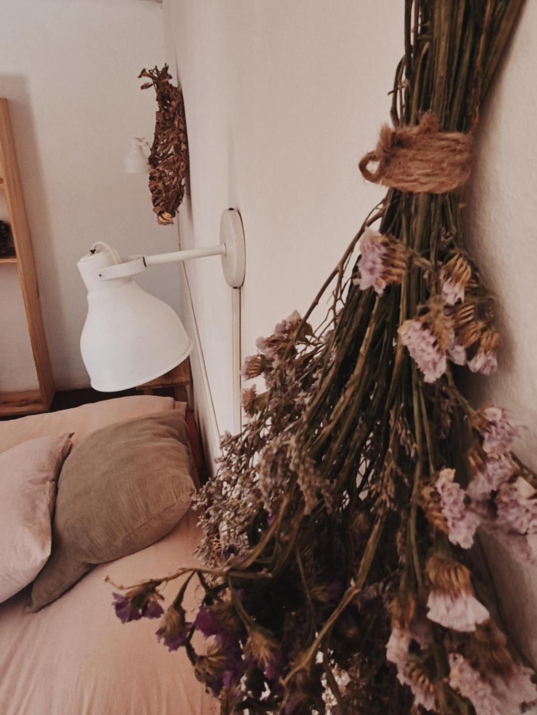 Mestiza Hostal ウマウアカ エクステリア 写真