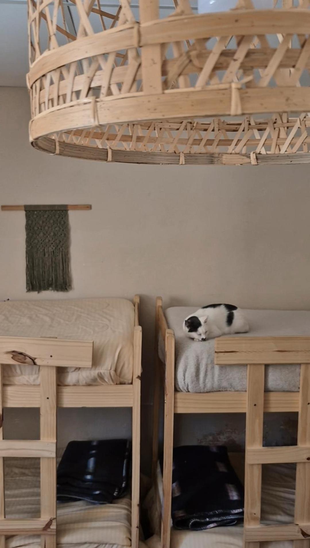 Mestiza Hostal ウマウアカ エクステリア 写真